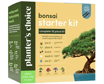 Bonsai starter kit