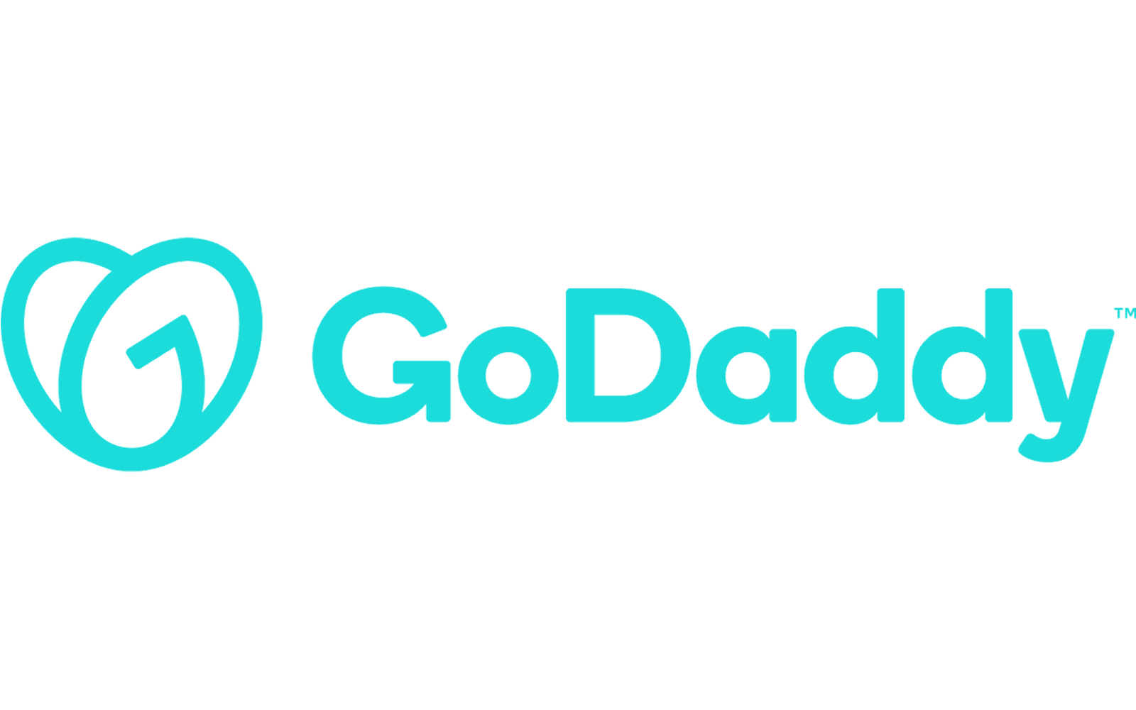 GoDaddy company logo