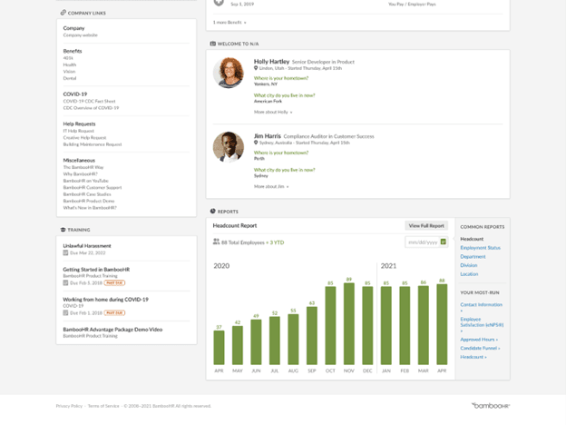 BambooHR reporting